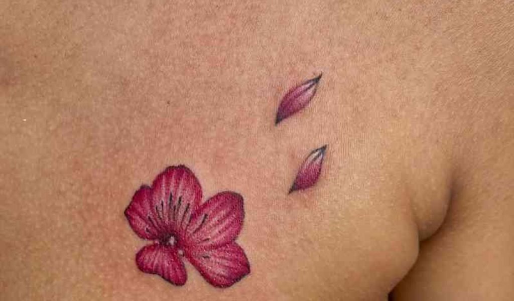 A pink flower and petals tattoo design on a girl’s chest at our tattoo parlour in Kolkata, low tattoo cost in kolkata..